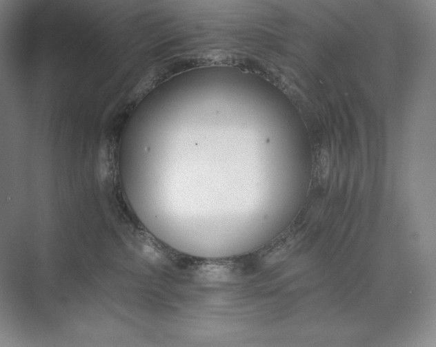 X0000073510236200608140942