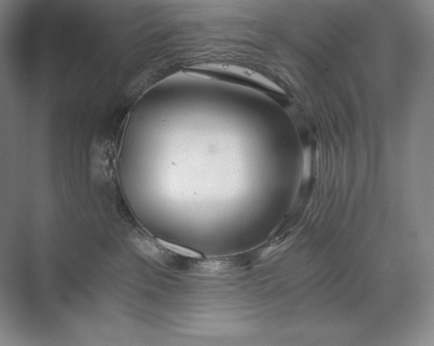 X0000073510237200608140942