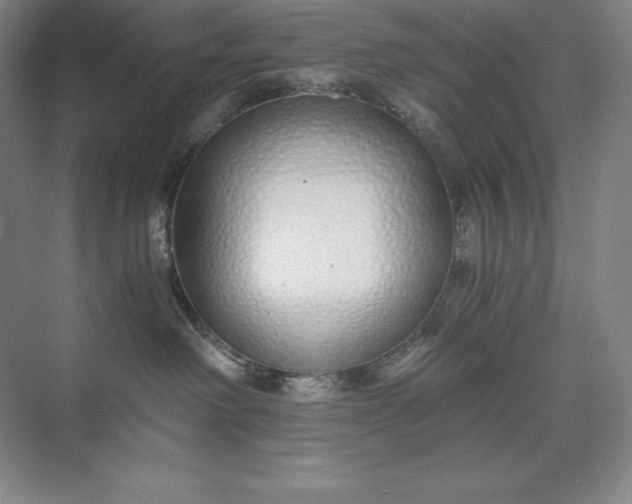 X0000073510238200608140942