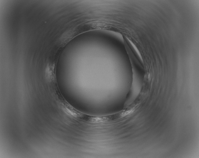 X0000073510239200608140942