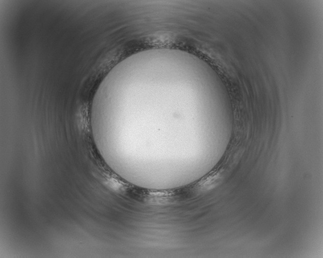 X0000073510240200608140942