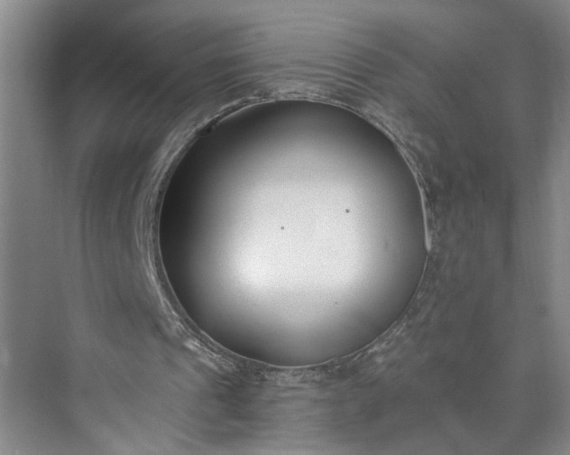 X0000073510241200608140941