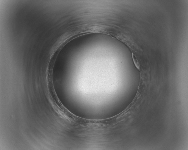 X0000073510242200608140941