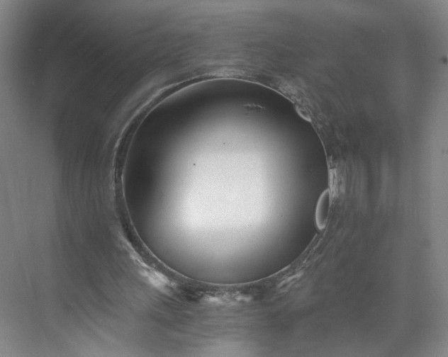 X0000073510243200608140941