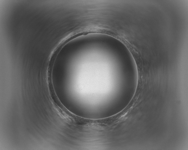 X0000073510244200608140941
