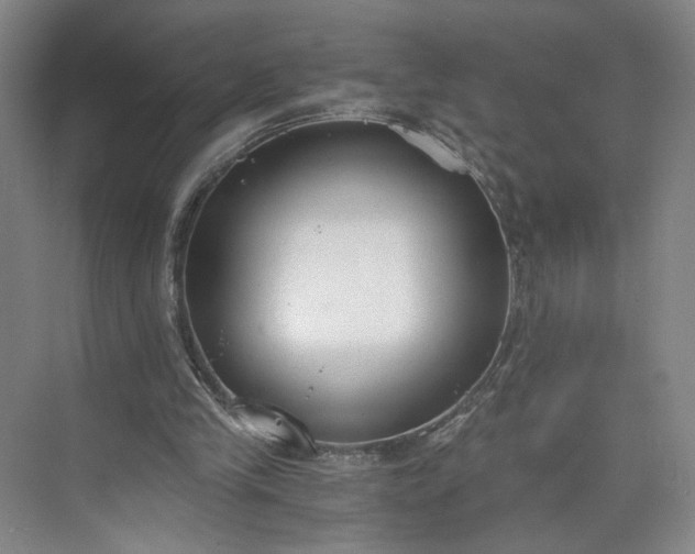 X0000073510245200608140941