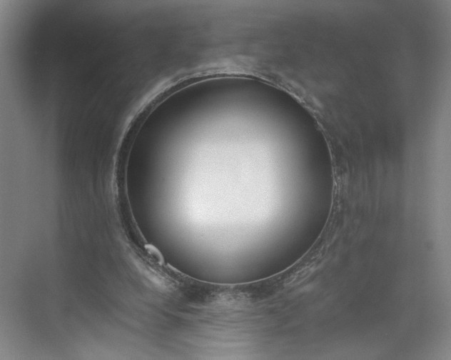 X0000073510248200608140941