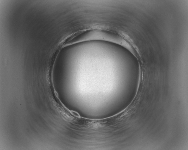 X0000073510249200608140941