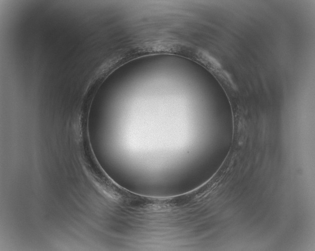 X0000073510250200608140941