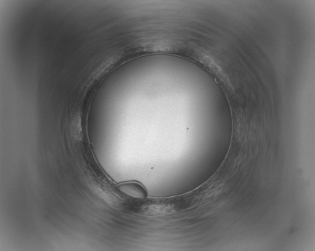 X0000073510251200608140941