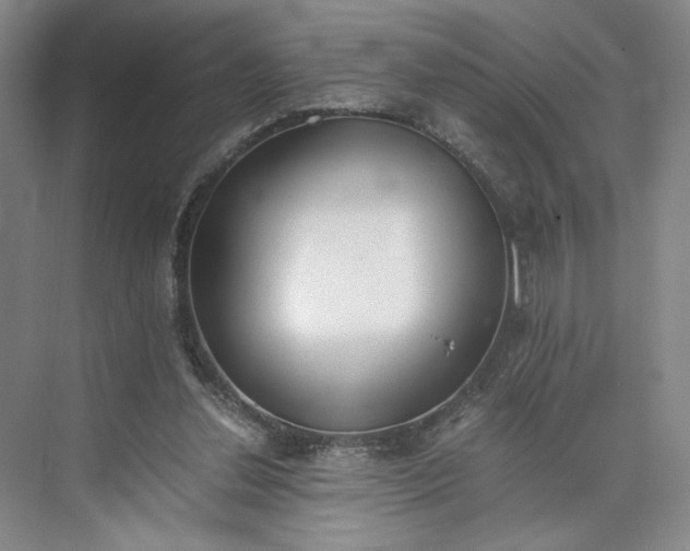 X0000073510252200608140941