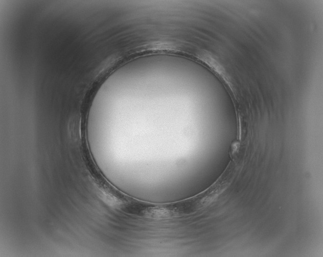 X0000073510253200608140941
