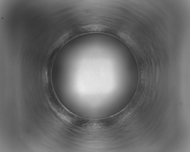 X0000073510254200608140942