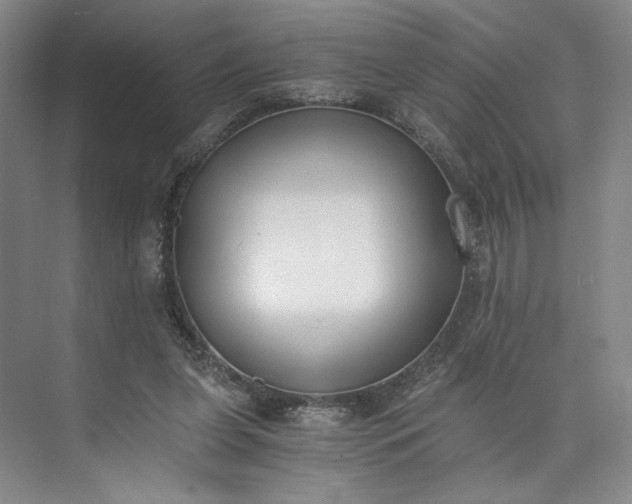 X0000073510255200608140942