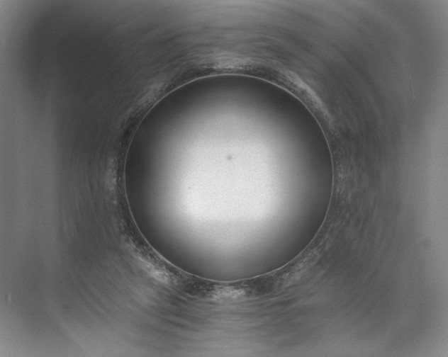 X0000073510257200608140942