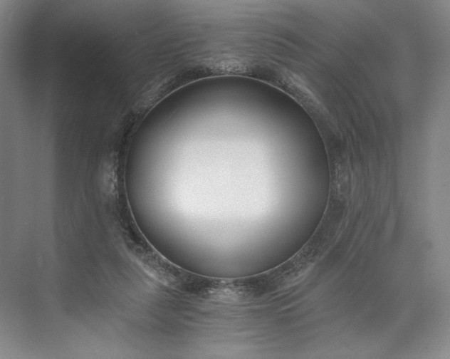 X0000073510259200608140942