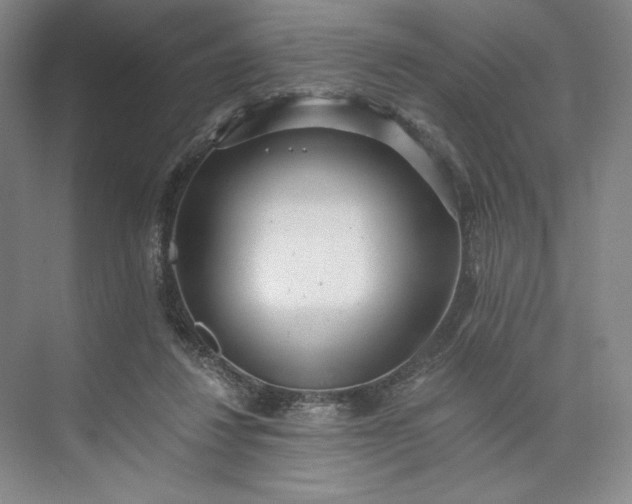 X0000073510260200608140942