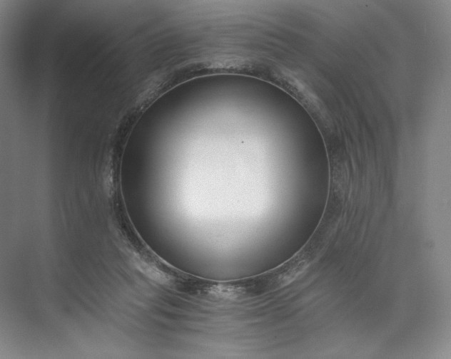 X0000073510261200608140942