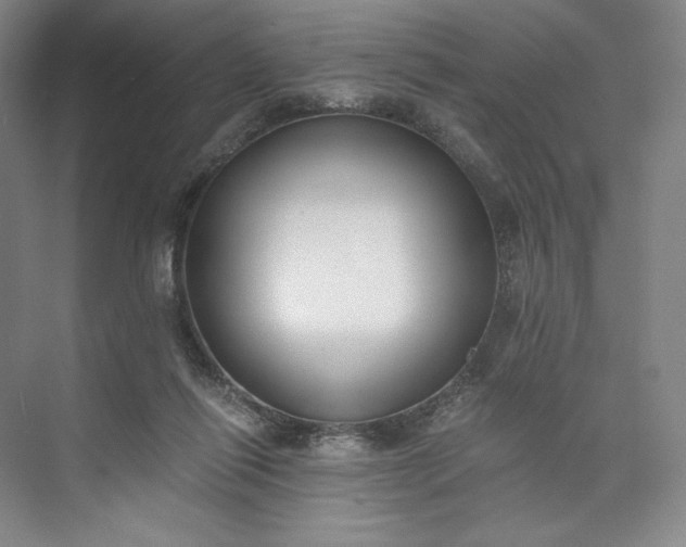 X0000073510262200608140942