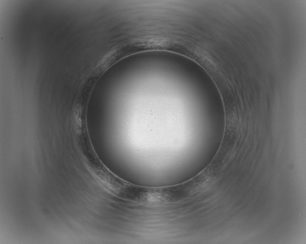 X0000073510264200608140942