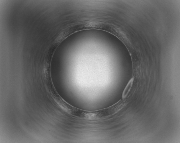 X0000073510265200608140942