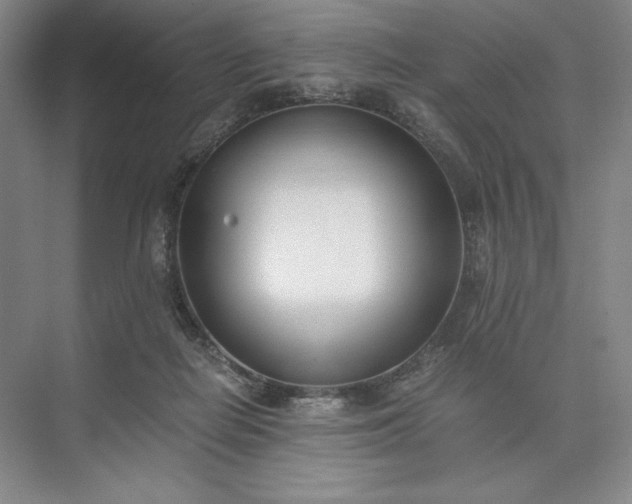 X0000073510266200608140942