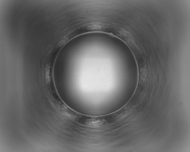 X0000073510267200608140942