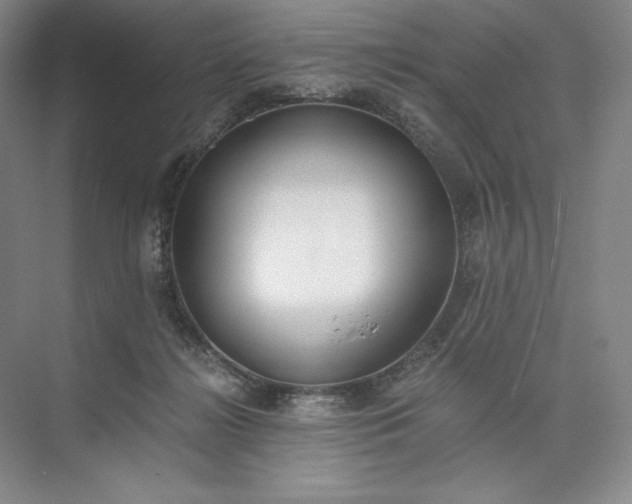 X0000073510268200608140942