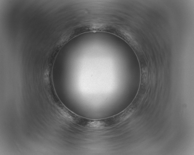 X0000073510269200608140942