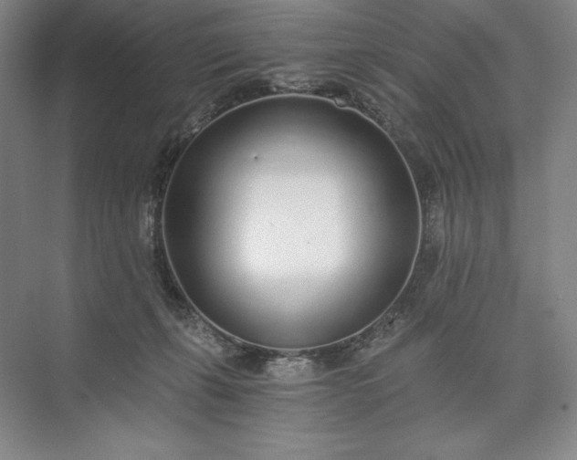 X0000073510271200608140942