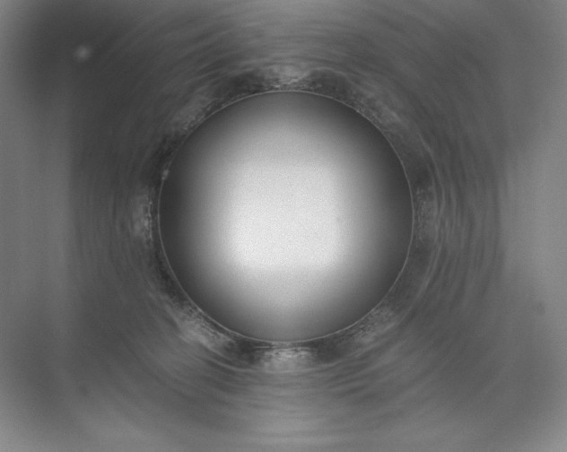 X0000073510274200608140942