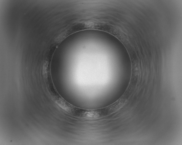 X0000073510275200608140942