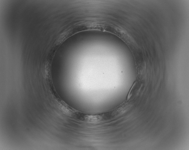 X0000073510277200608140942