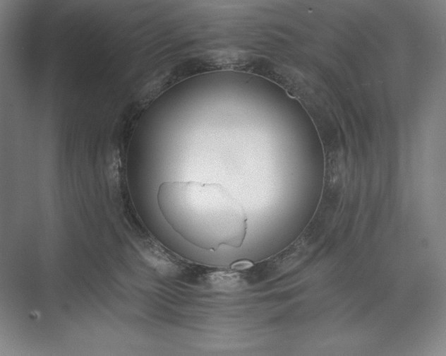 X0000073510279200608140942