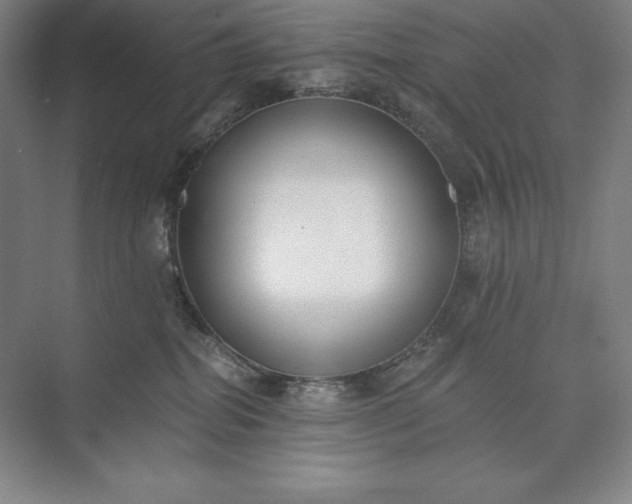 X0000073510282200608140942