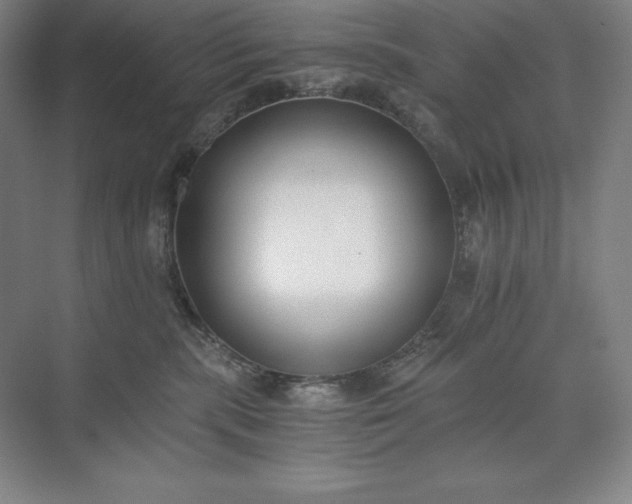 X0000073510283200608140942