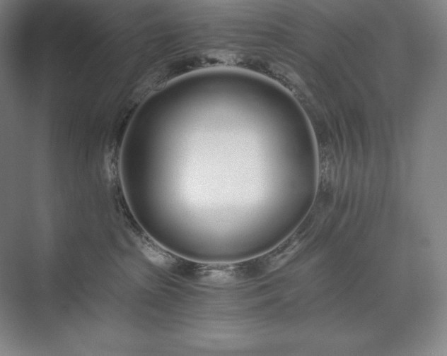 X0000073510285200608140942