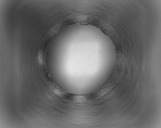 X0000073510287200608140942