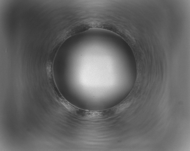 X0000073510288200608140942
