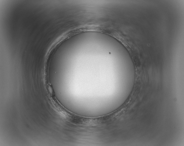 X0000073510293200608140941