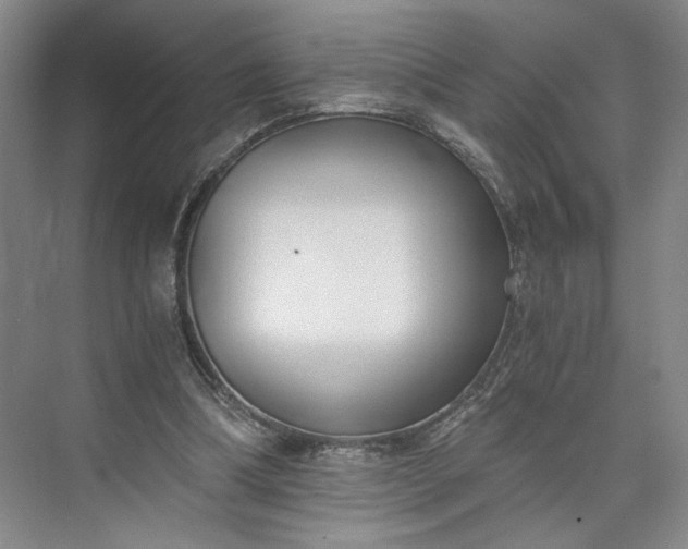 X0000073510298200608140941