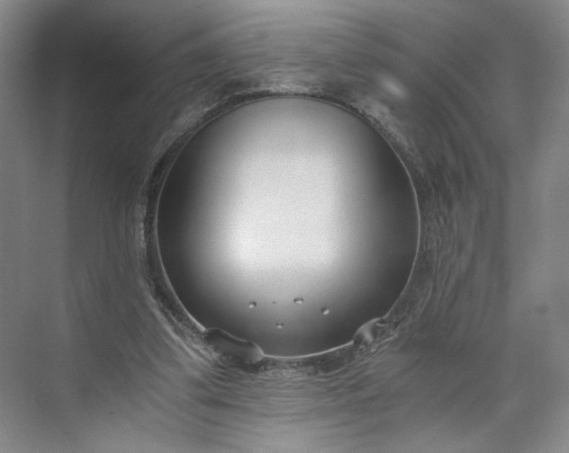 X0000073510299200608140941