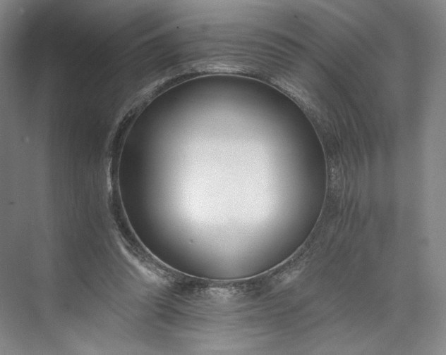 X0000073510302200608140941