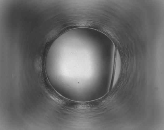 X0000073510303200608140941