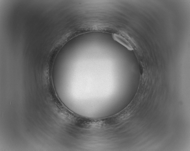 X0000073510306200608140941
