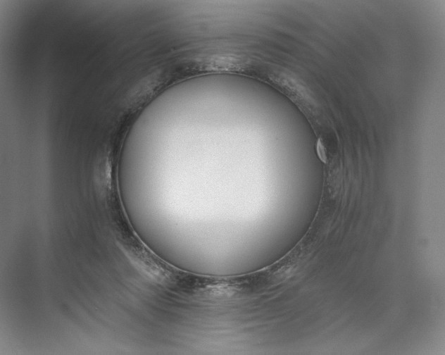 X0000073510310200608140941