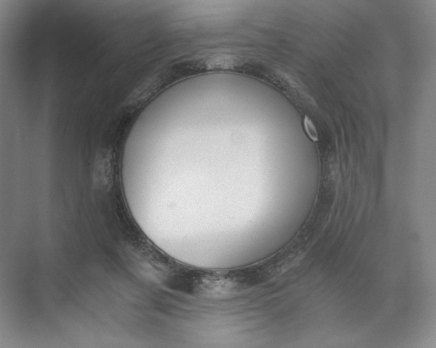 X0000073510311200608140941