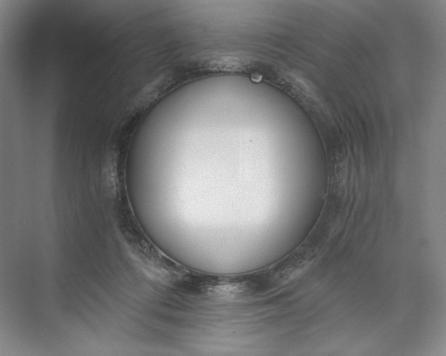X0000073510312200608140941