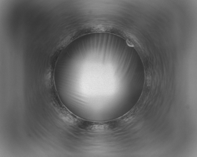 X0000073510314200608140941