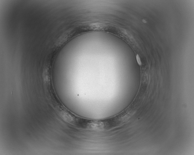 X0000073510317200608140941